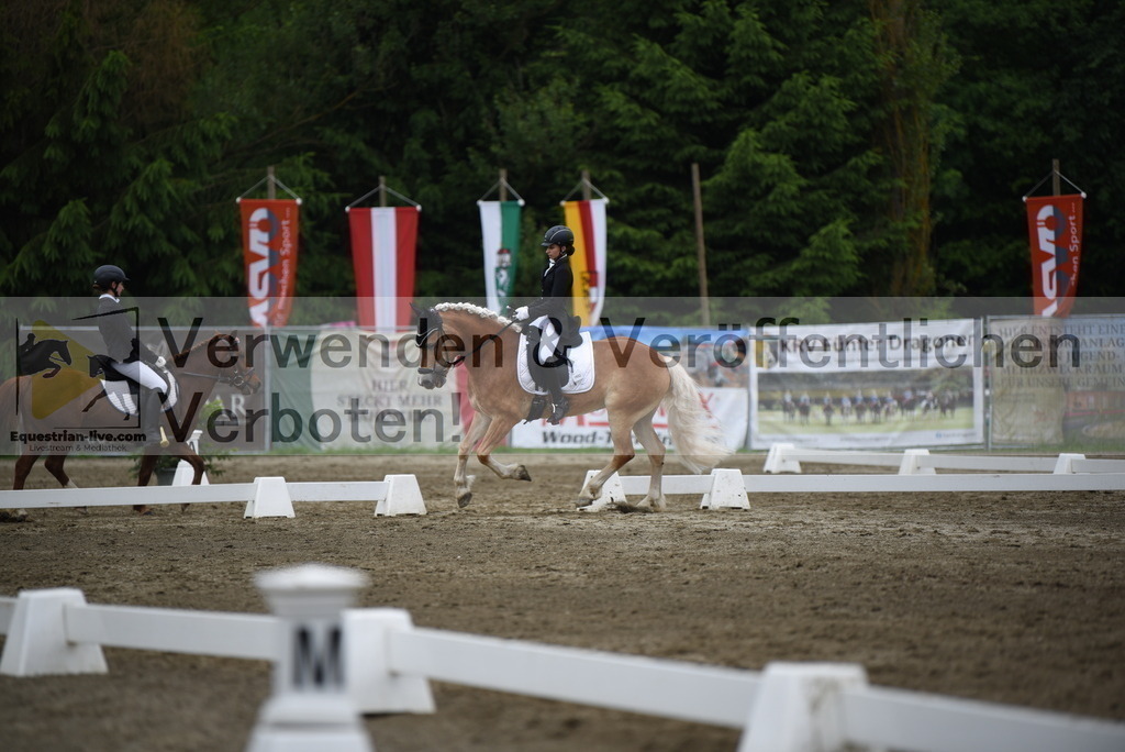 DSC_7956 | equestrian-live-com