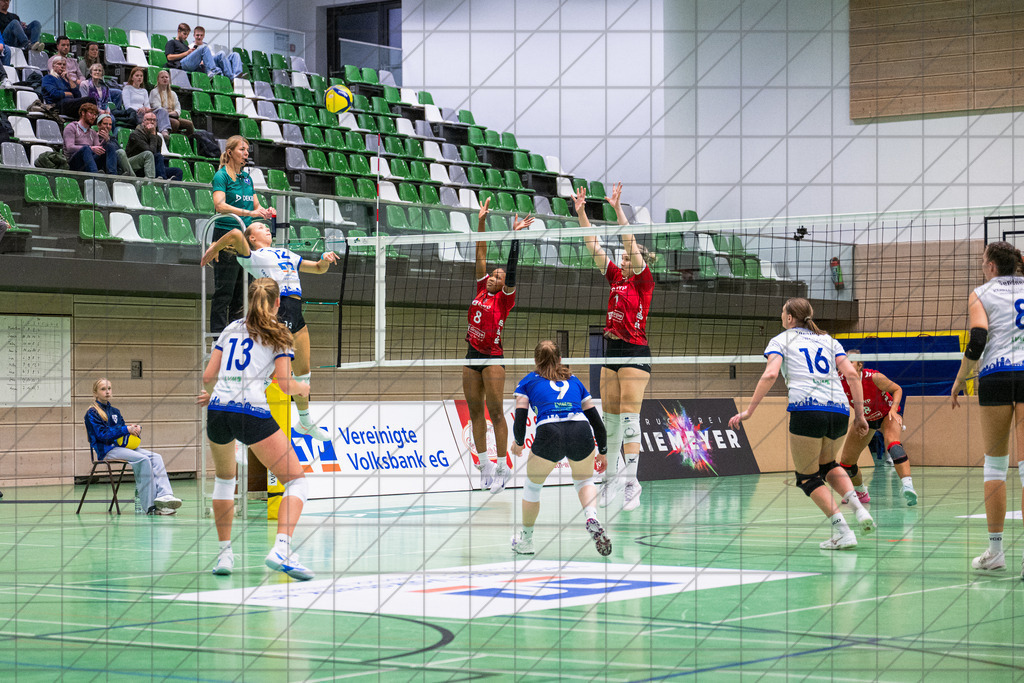 2. VBLF Nord 25/26 | Spiel 4017 | VC Osnabrück vs. Potsdam II | //  25.10.25: 2. VBLF Nord 25/26 | Spiel 4017 | VC Osnabrück vs. Potsdam II / Osnabrück / Deutschland  //   CREDIT:www.bullenfotos.de, Martin König, Hörner Weg 40, D-49078 Osnabrück, +4917663732967 // Nutzung und Weitergabe nur zu den vereinbarten Zwecken. Presseanfragen an Ersteller. Alle Rechte beim Ersteller. Honorierung nach MFM. - Realisiert mit Pictrs.com