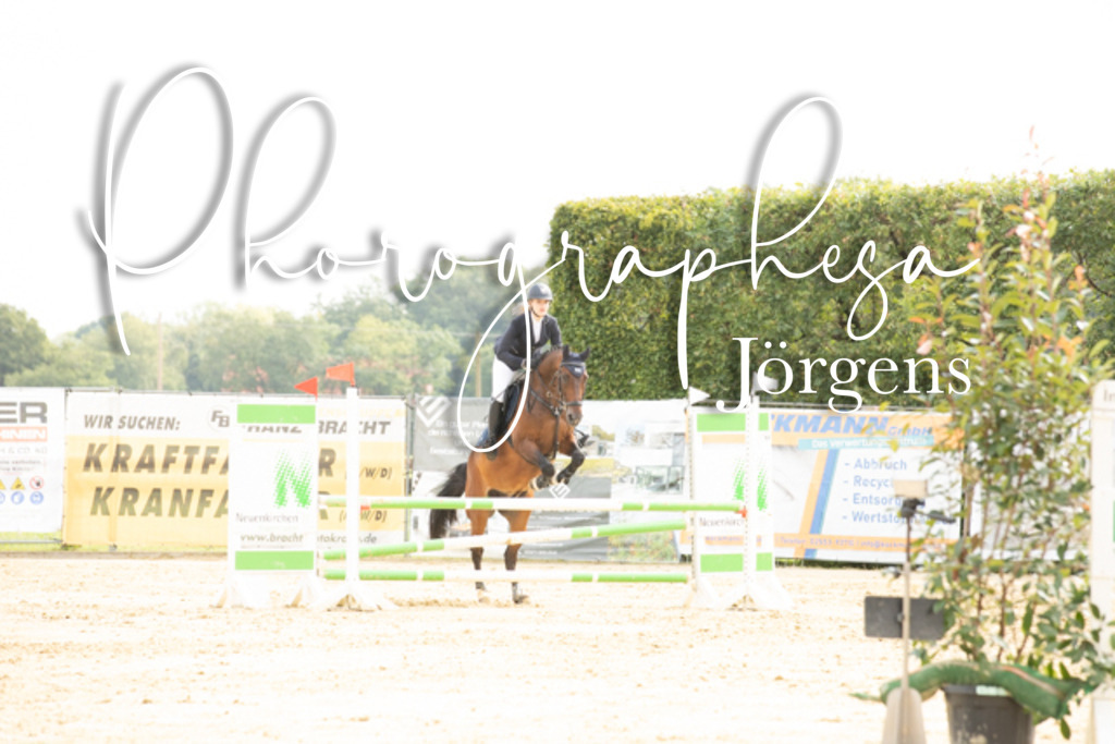 IMG_6591 | photographesa-joergens - Realisiert mit Pictrs.com