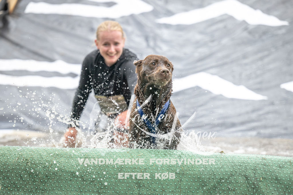 1406_ZZ94314 | kk-dogfotos
