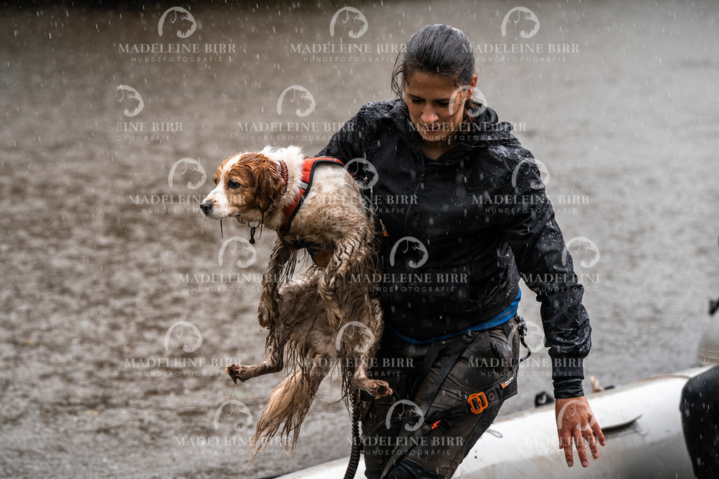 madeleinebirr-fotografie2025.campcanis.11-12Uhr-264 | hundefotografie-birr