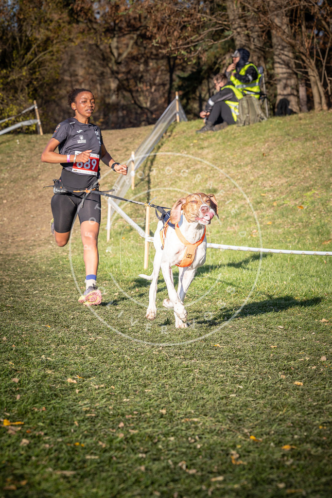 CaniXpix_0L8A9324 | Hundefotografie, Tierfotograf, Pfotenfotografie, Fotoshooting Hund, Hunde Portrait, Hundesport, Hundeportraits, Heideshooting, Hunde, Sportfotograf, Hundefotograf, Turnierhundsport, THS,  - Realisiert mit Pictrs.com