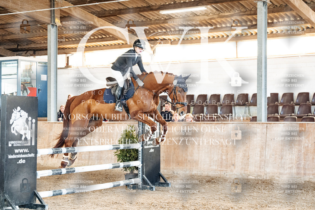 CK905005 | Turnierfotografie Pferdefotografie Trier Rheinland-Pfalz Pferdesport Reitsport Tierfotografie Sportfotografie Pferdevideo Pferdevideografie Equestrianvideography equestrianphotography  - Realisiert mit Pictrs.com