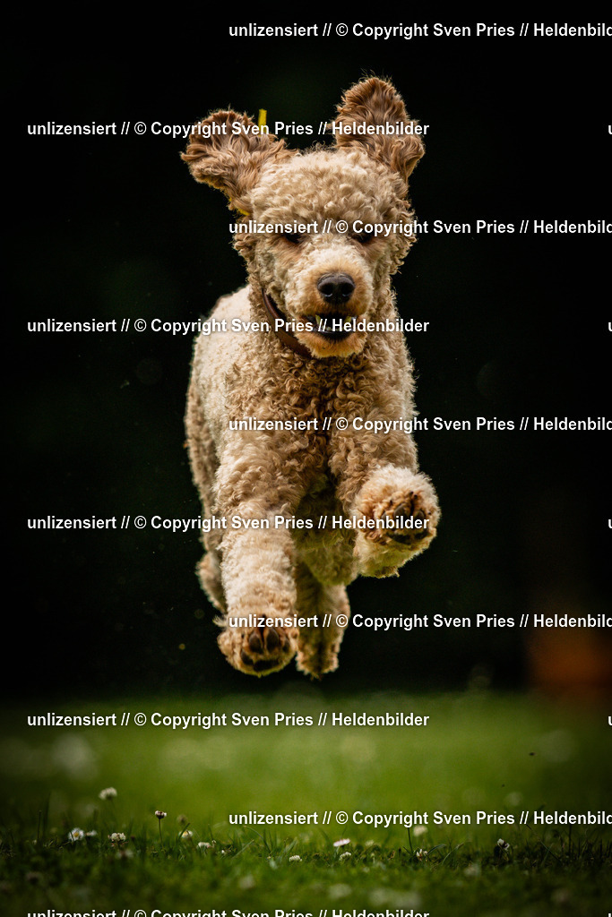 Sven Pries | 2025-05-29 - Pudelrennen KA-Durlach - Realisiert mit Pictrs.com