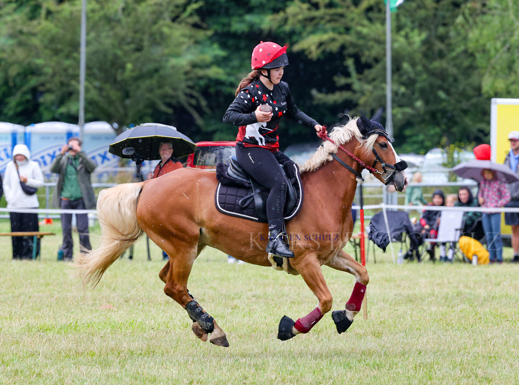 1B3A1854 | Reitsport Reiten