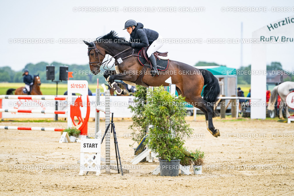 DSC08874 | Pferdegrafie