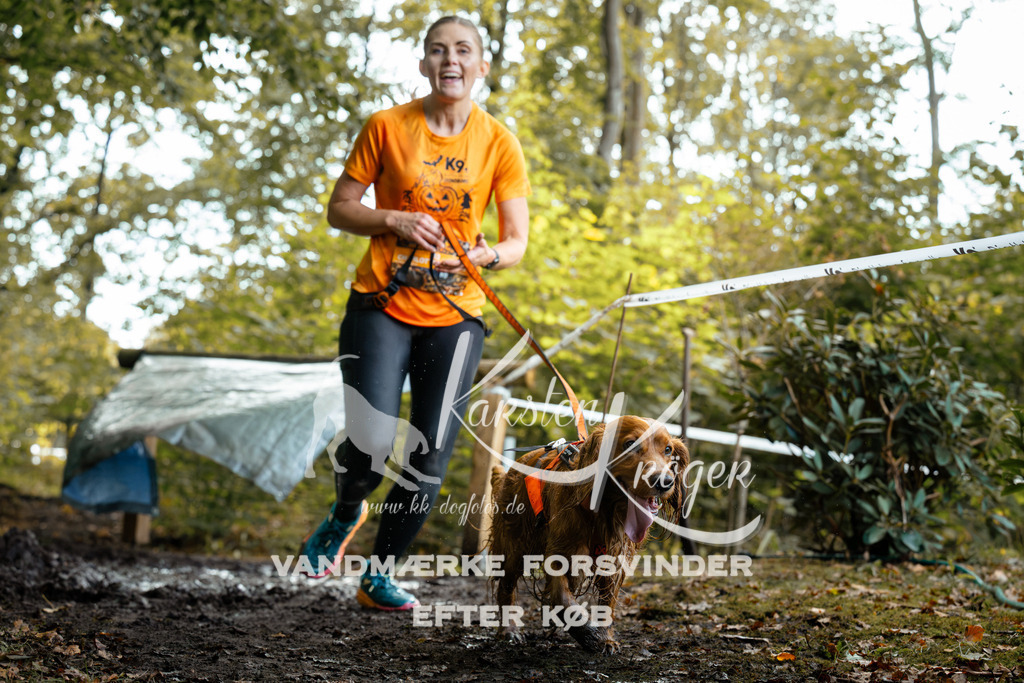 1415DZ6_1312Z6 | kk-dogfotos