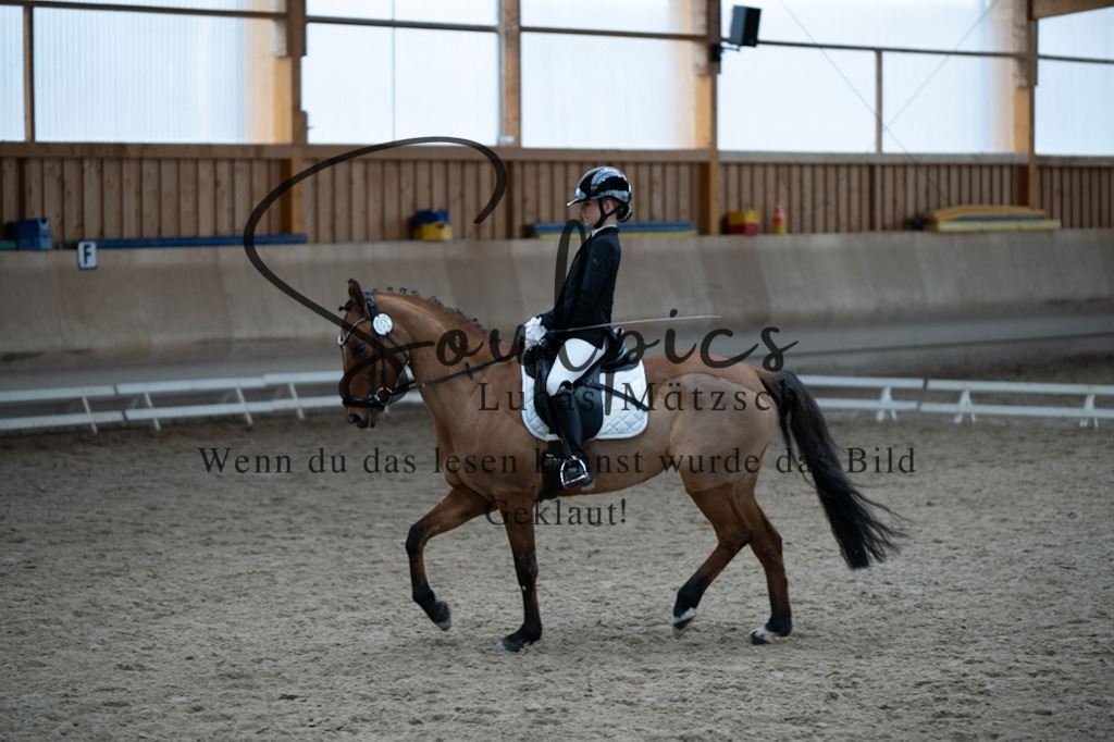 A7V09698 | Pferdefotograf