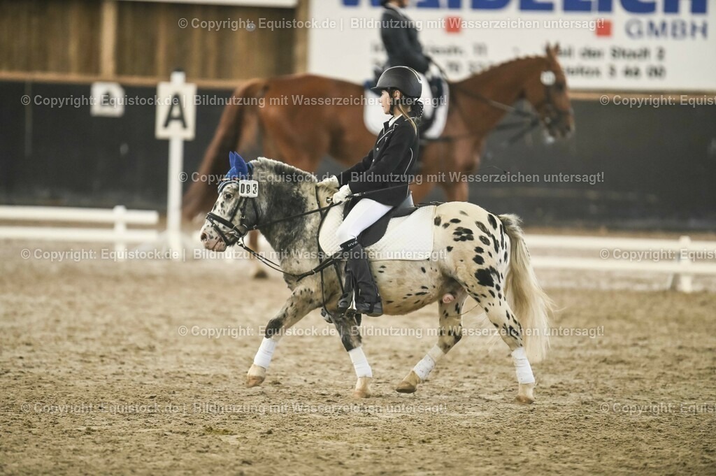 20231029_02_Reiter-WB_Schritt-Trab-Galopp_Abteilung-01_0068 | Foto: Thomas Hartig