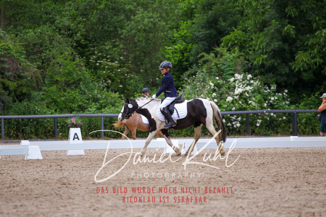 DKP46250 | Turnierfotos kaufen im Webshop von Daniel Kuhl Photography – entdecke professionelle Reitsportfotos aus Turnieren & Events. Hochwertige Turnierbilder online bestellen & sichern. Jetzt Fotos von Reitsportturnieren kaufen!