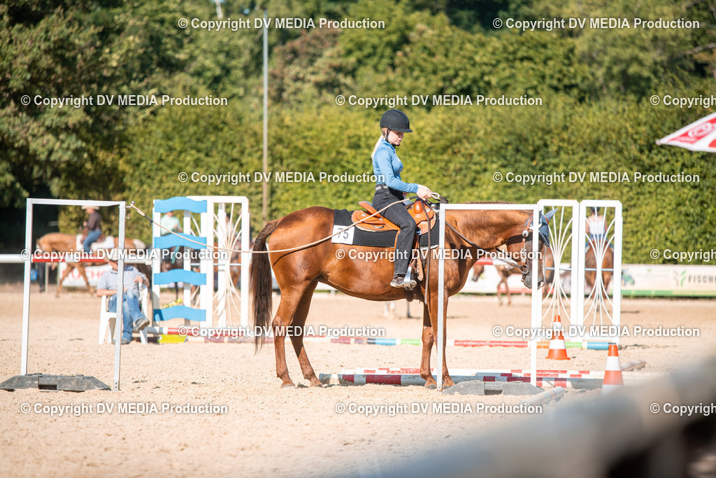 EWP_6995 | dv-media-shop - Realisiert mit Pictrs.com