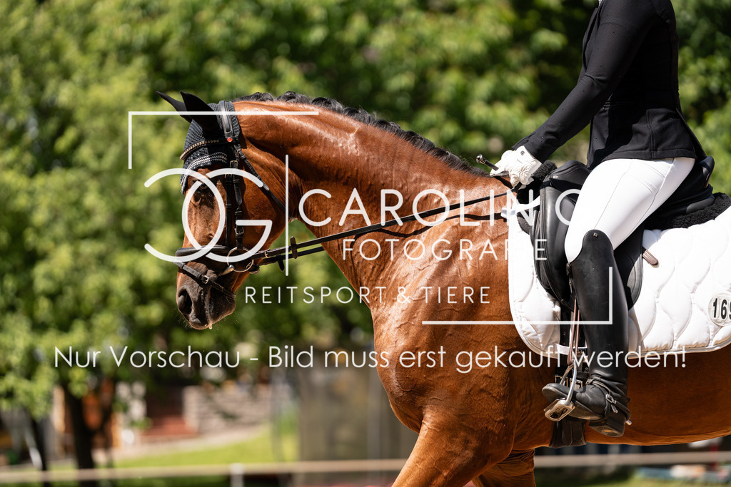 DSC04370 | Turnierfotografin Carolin Gieschke, Turnierfotografie Carolin G Fotografie, Turnierfotos Kirchheim/Teck, Esslingen, Stuttgart, Bodenseekreis