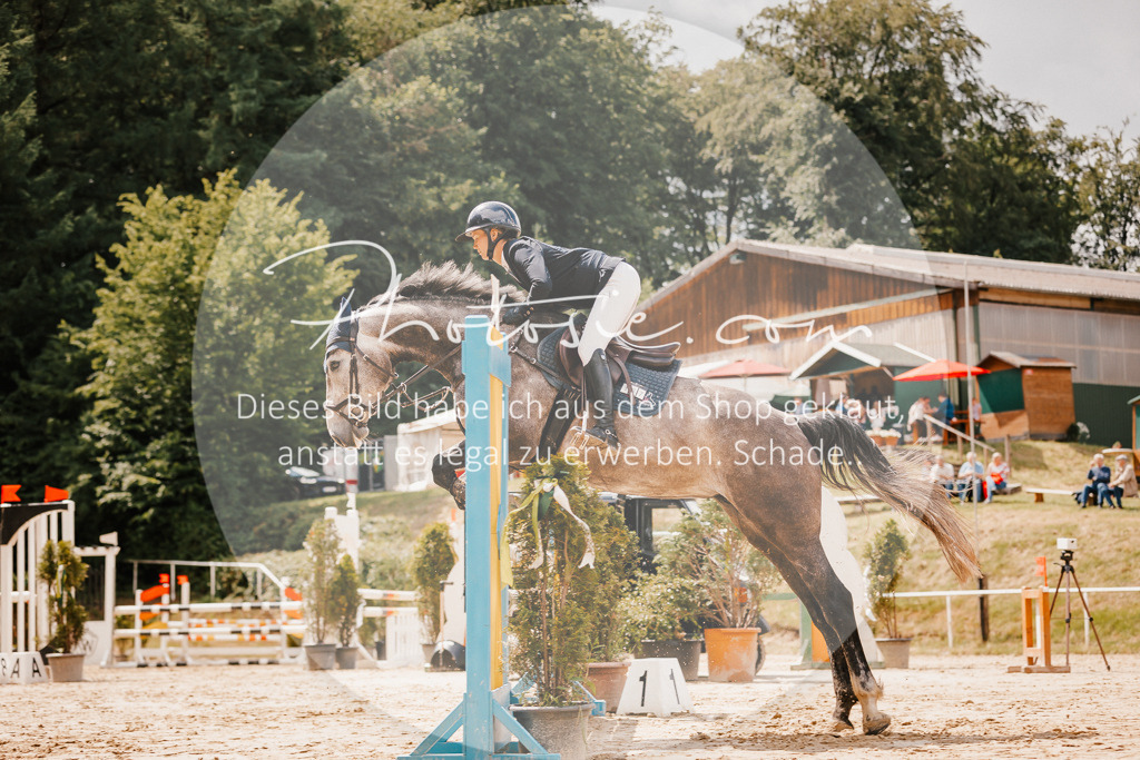 3I6A2364 | Stimmungsvolle Portraits und Reitsportfotografie im Ruhrgebiet und im Münsterland.

Pferdefotografie, Hundefotografie, Tierfotografie, Reportagen, Portraits von Tier und Mensch, Turnierfotografie in Bochum, Recklinghausen, Marl, Haltern am See, Dülmen.. - Realisiert mit Pictrs.com