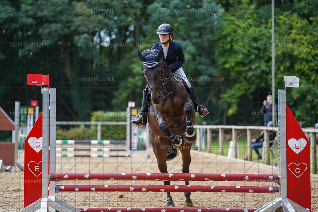 20231008-SN_01072 | Professionelle Turnier- und Reitsportfotografie - mit dem Finger am Auslöser. Pferdebilder aus dem Reitsport von den Turnierfotografen  Bayern , Pferdefotograf Bayern, Pferdeshooting Turnierbilder, Hochzeitsfotograf, Eventfotograf, Hochzeitsbilder