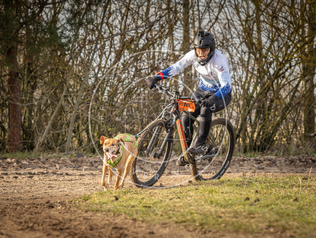 Pfotenfotografie_DV3A8686 | Hundefotografie, Tierfotograf, Pfotenfotografie, Fotoshooting Hund, Hunde Portrait, Hundesport, Hundeportraits, Heideshooting, Hunde, Sportfotograf, Hundefotograf, Turnierhundsport, THS,  - Realisiert mit Pictrs.com