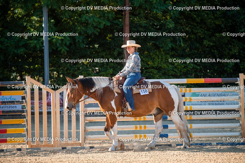 EWP_7156 | dv-media-shop - Realisiert mit Pictrs.com