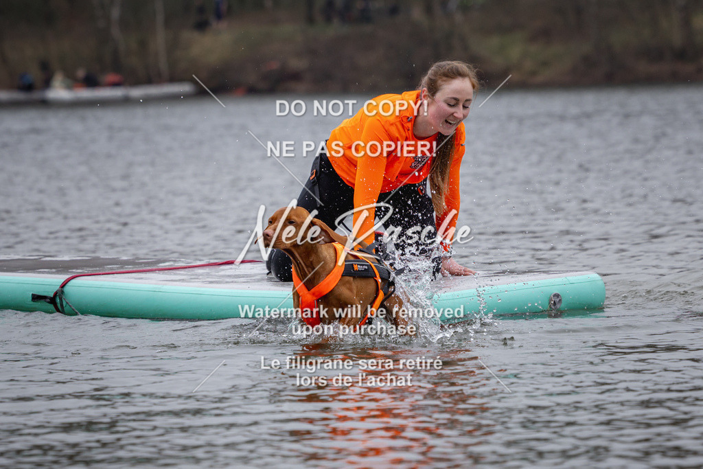 nelerasche_Hulsbeek_Sa1600-1700_41 | nelerasche