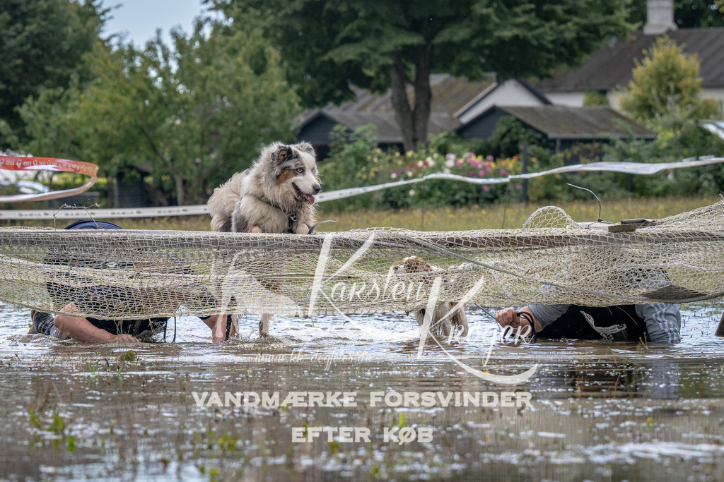 1318_ZZ90756 | kk-dogfotos