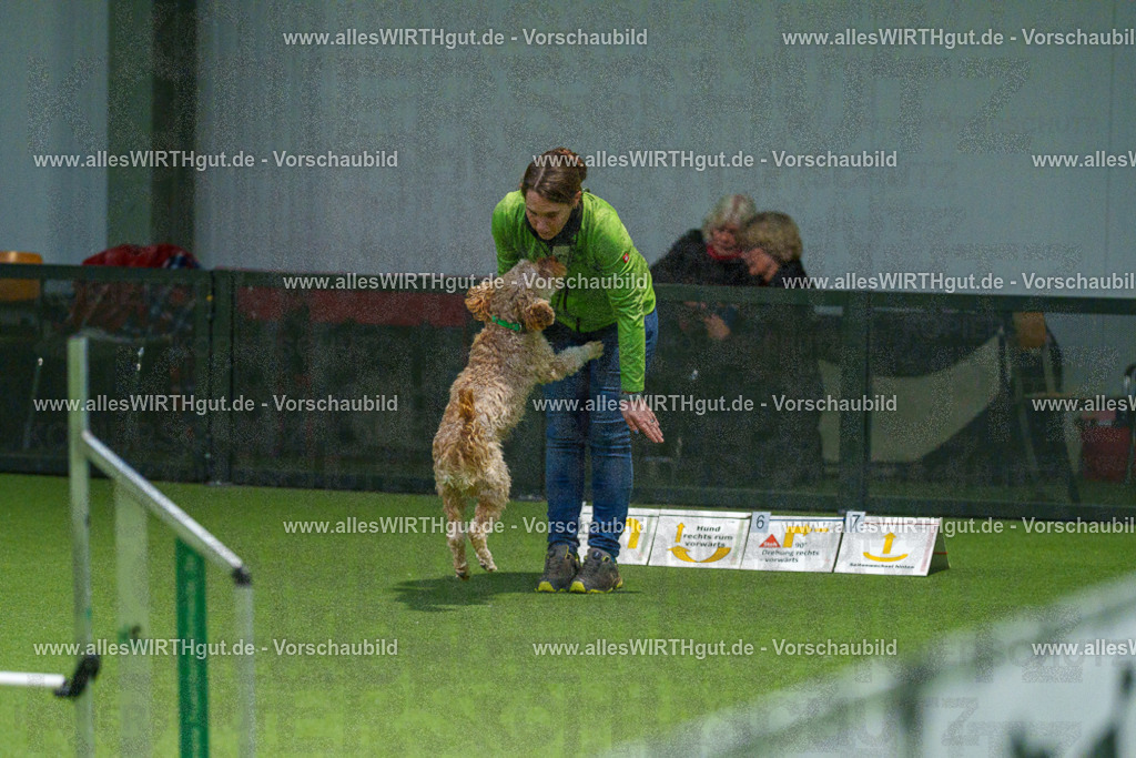 7R504493 | Professionelle Tierfotografie in Mönchengladbach von Daniel Wirth (allesWIRTHgut). Liebevolle & natürliche Bilder von Hunden & Katzen für unvergessliche Erinnerungen.
