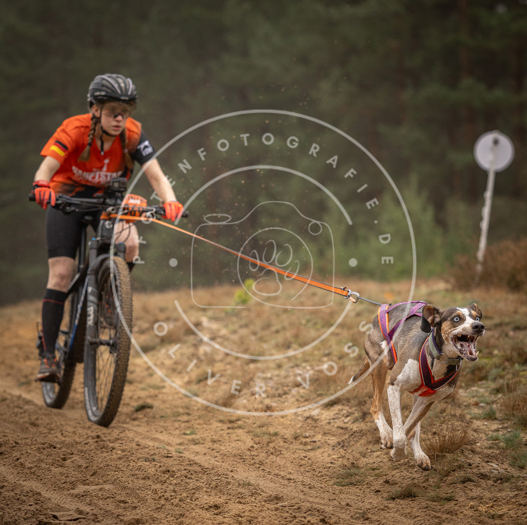 Pfotenfotografie_DV3A2556 | Hundefotografie, Tierfotograf, Pfotenfotografie, Fotoshooting Hund, Hunde Portrait, Hundesport, Hundeportraits, Heideshooting, Hunde, Sportfotograf, Hundefotograf, Turnierhundsport, THS,  - Realisiert mit Pictrs.com