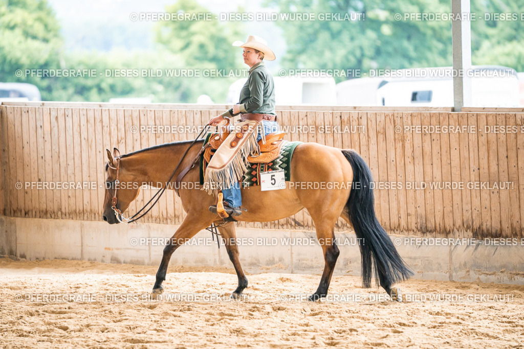 DSC00913 | Pferdegrafie