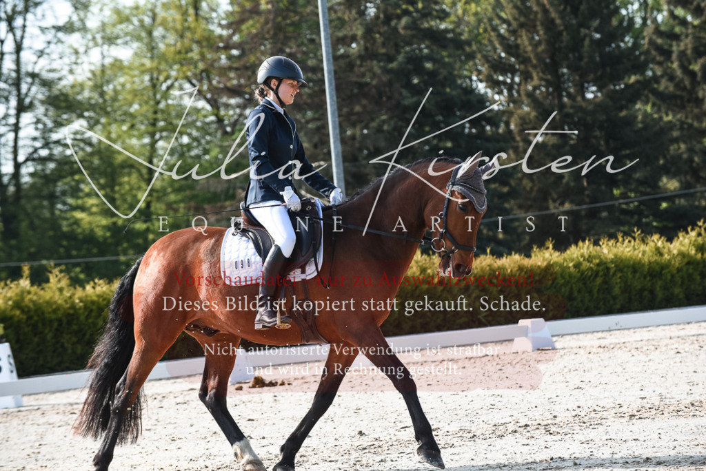 20230518_JK-Röhrsdorf-09-0838 | Pferde- und Turnierfotografie in Westsachsen. Pferdeportraits, Auftragszeichnungen und intuitive Kunst.