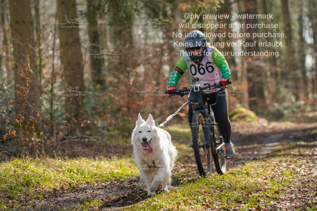 So_Scooter1-11 | stephaniefillaphotographie - Realisiert mit Pictrs.com