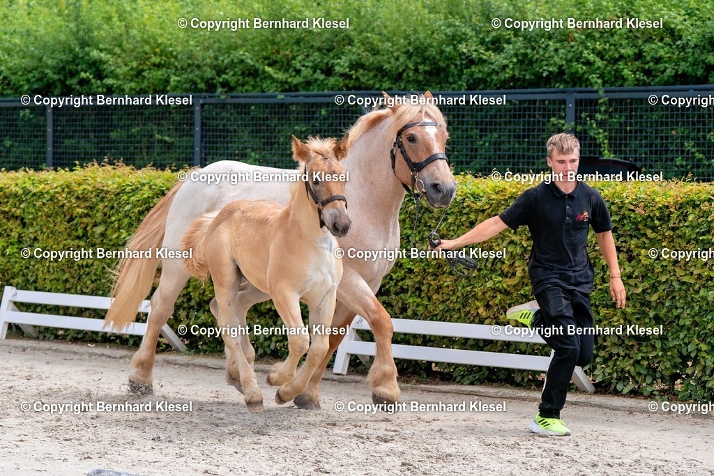 2A901367 | foto-team-bernhard - Realisiert mit Pictrs.com