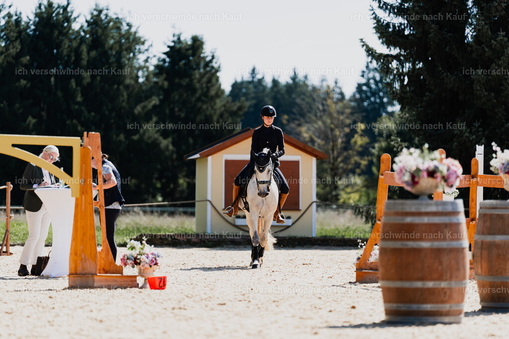 Svea13FHC2025-08768 | working equitationturnier fotograf videograf stoibphotography marixx film working equitation deutschland reitsport turnierfotografie eventfotografie equestrian events