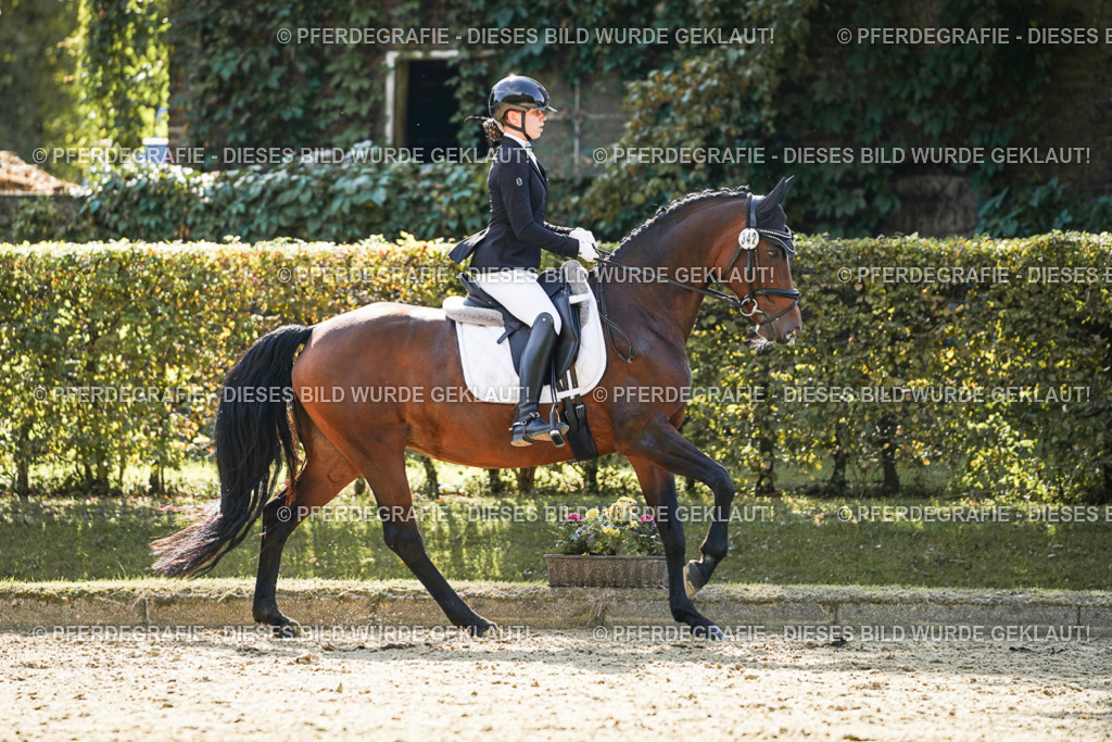 DSC07246 | Pferdegrafie