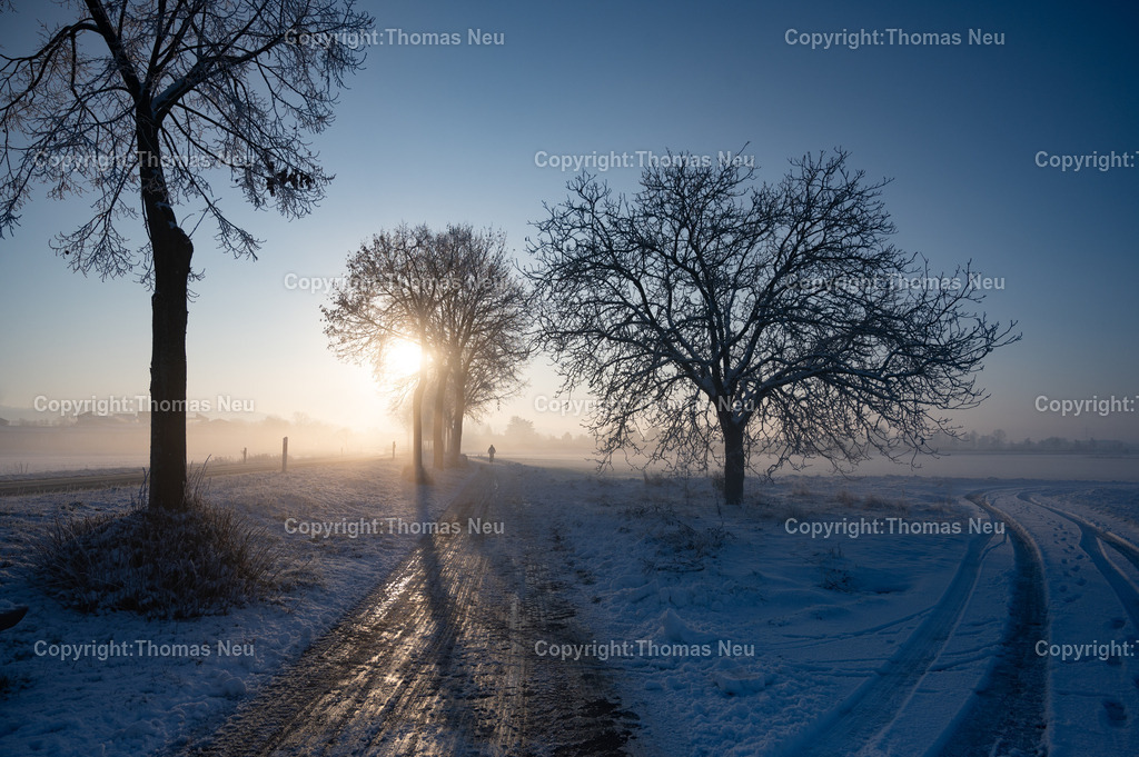 DSC_9736 | Bensheim, ,, Bild: Thomas Neu