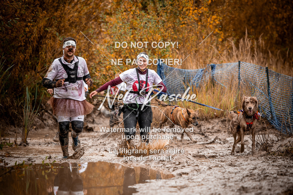 nelerasche_Creepy2025_Sa10-11_07 | nelerasche