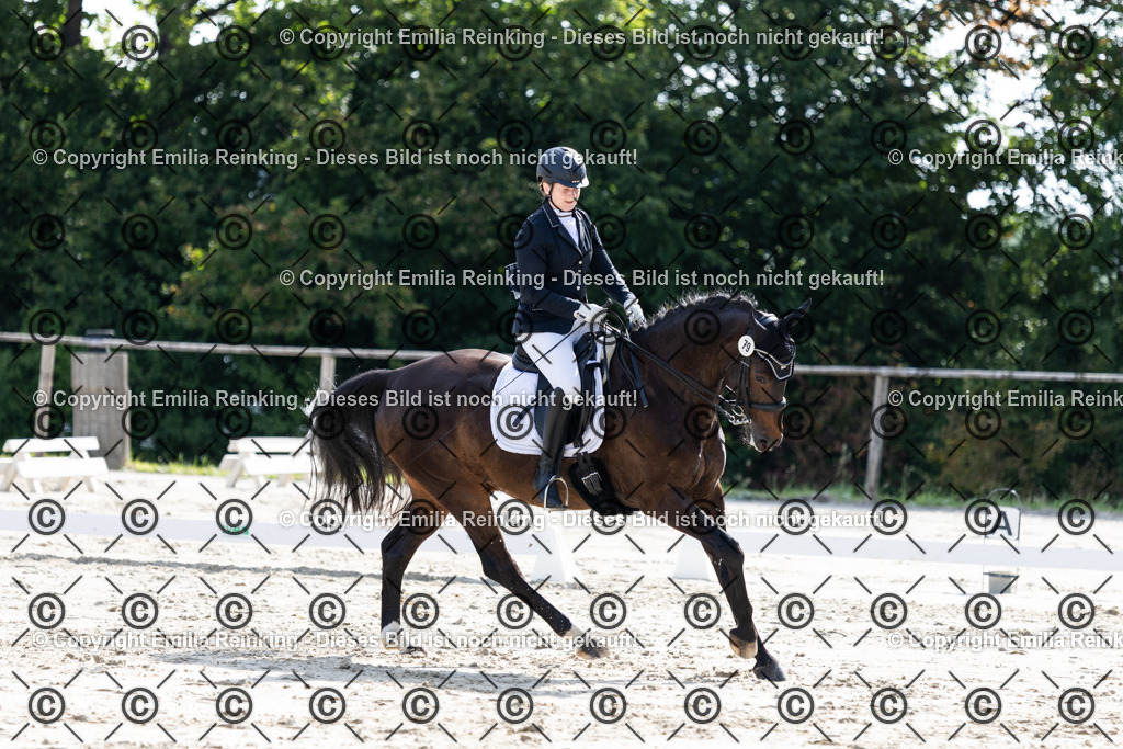 CL5A5757 | Emilia Reinking Fotografie - Realisiert mit Pictrs.com