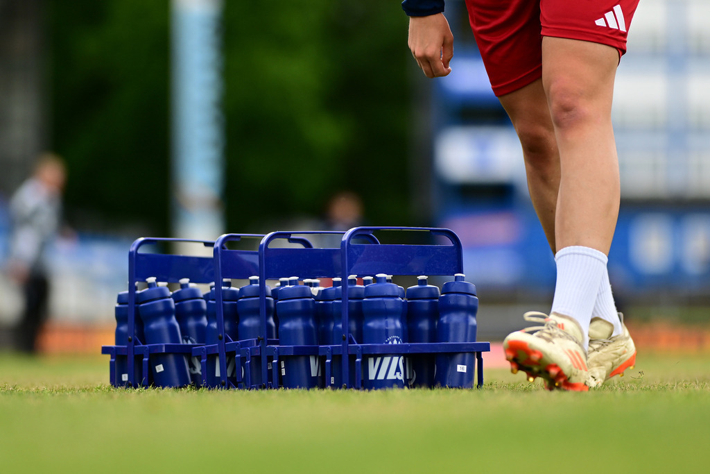 Fußball I Frauen I Saison 2024-2025 I 2. Bundesliga I 26. Spieltag I SV Meppen - Hamburger SV | Der Sportfotograf. - Realisiert mit Pictrs.com