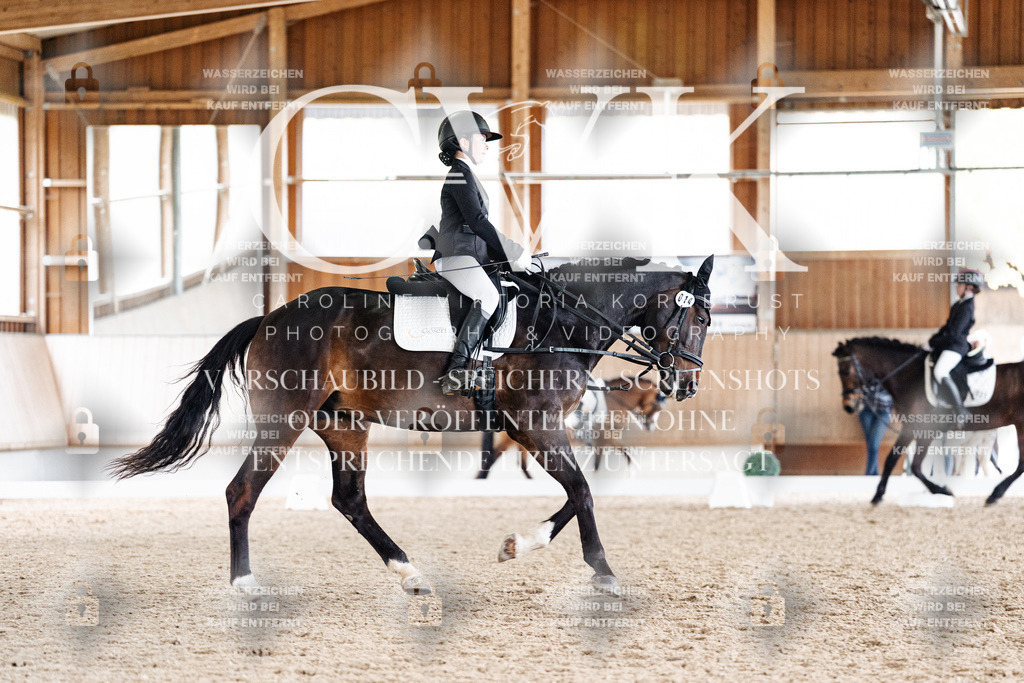 CK901346 | Turnierfotografie Pferdefotografie Trier Rheinland-Pfalz Pferdesport Reitsport Tierfotografie Sportfotografie Pferdevideo Pferdevideografie Equestrianvideography equestrianphotography  - Realisiert mit Pictrs.com