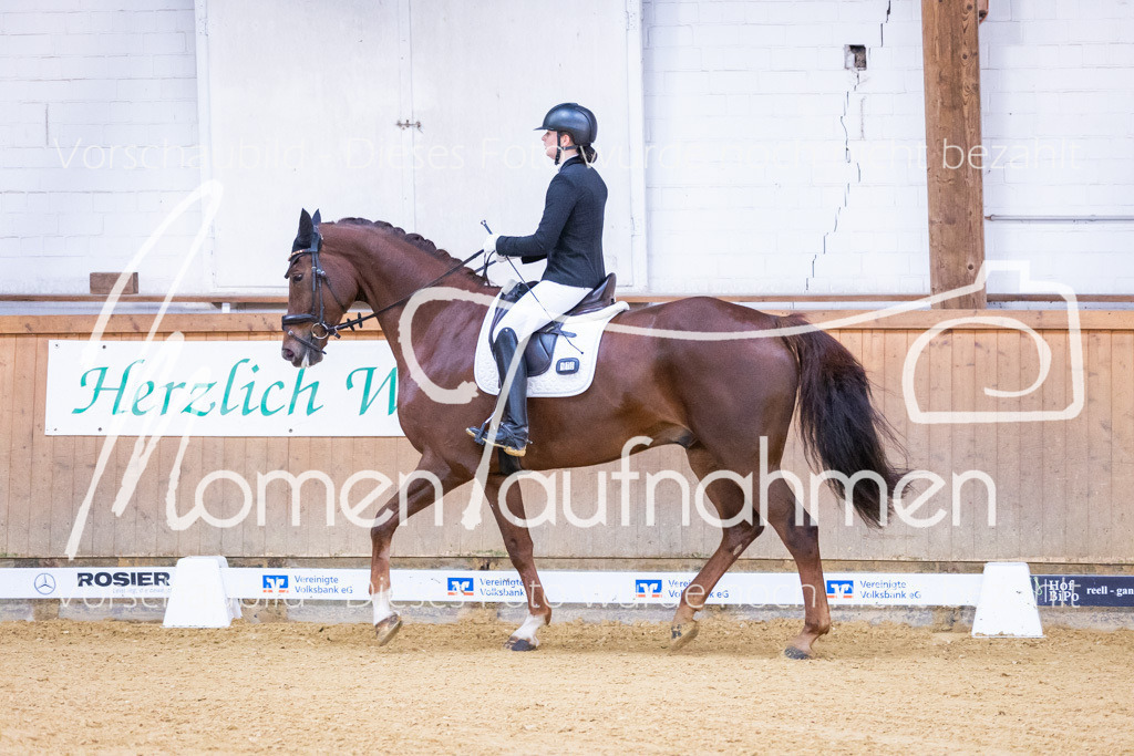 Sth-A-Dre-1St-037 | MomenTaufnahmen Pferdesportfotos