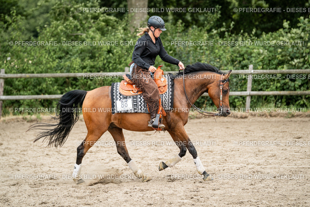 DSC01999 | Pferdegrafie