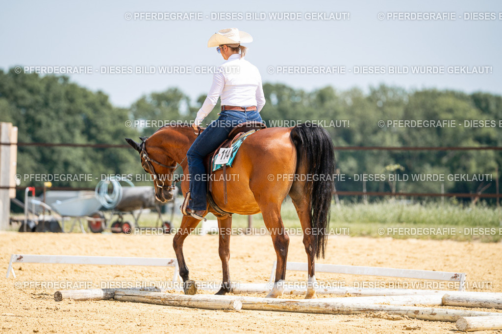 DSC00426 | Pferdegrafie