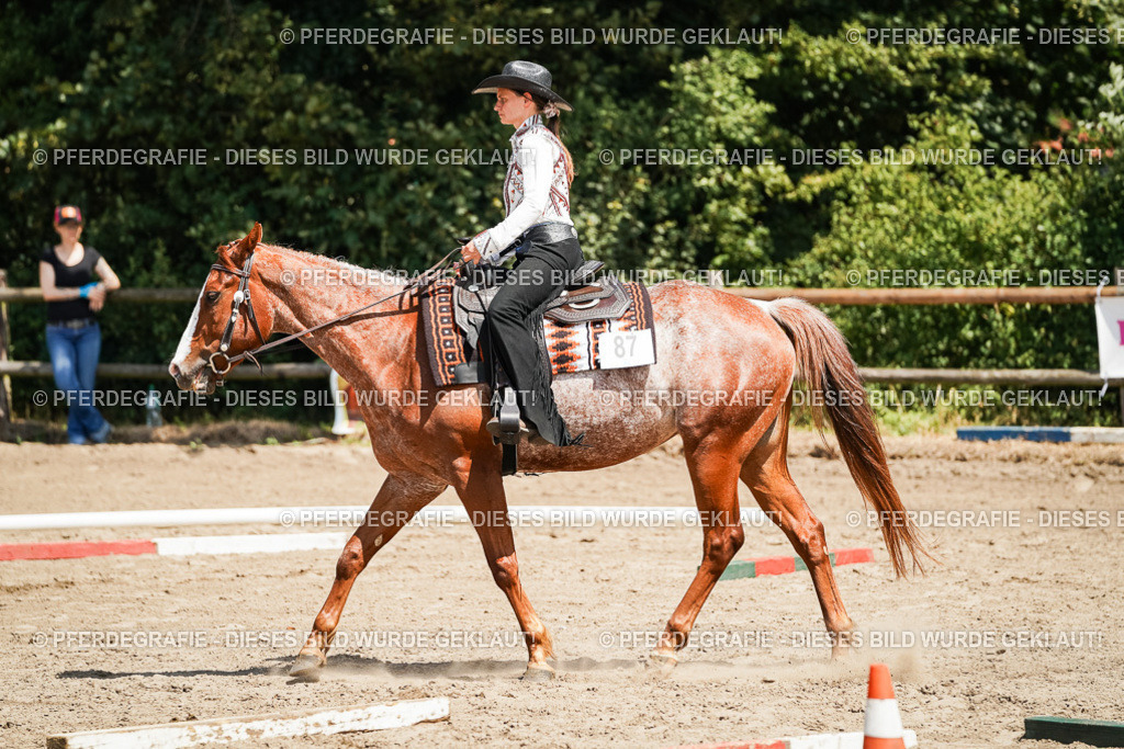 DSC07726 | Pferdegrafie