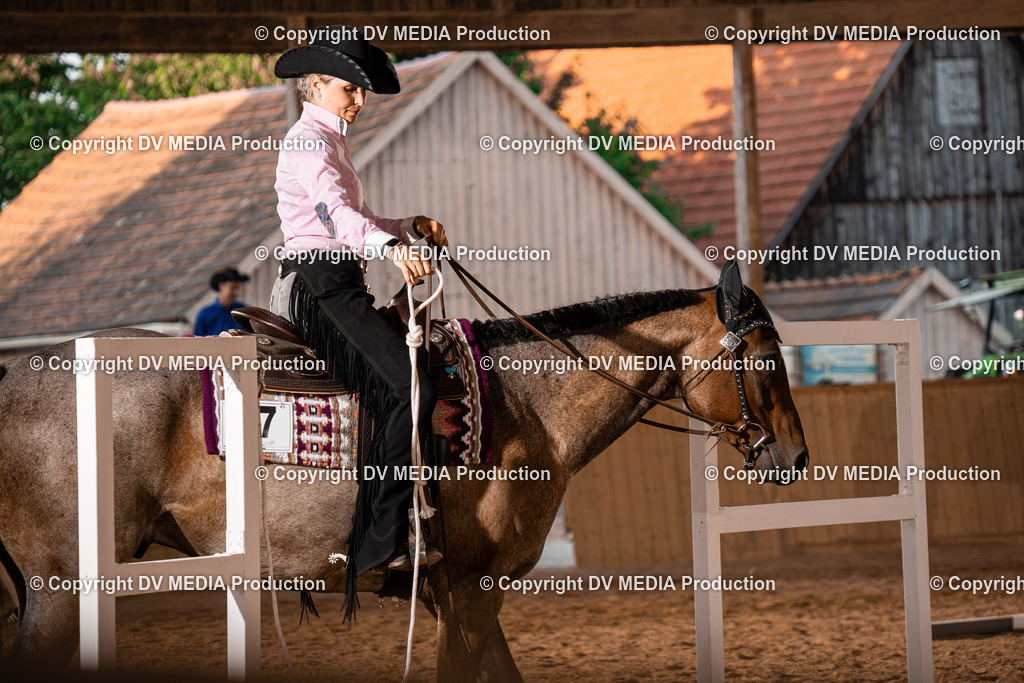 NE101342 | dv-media-shop - Realisiert mit Pictrs.com