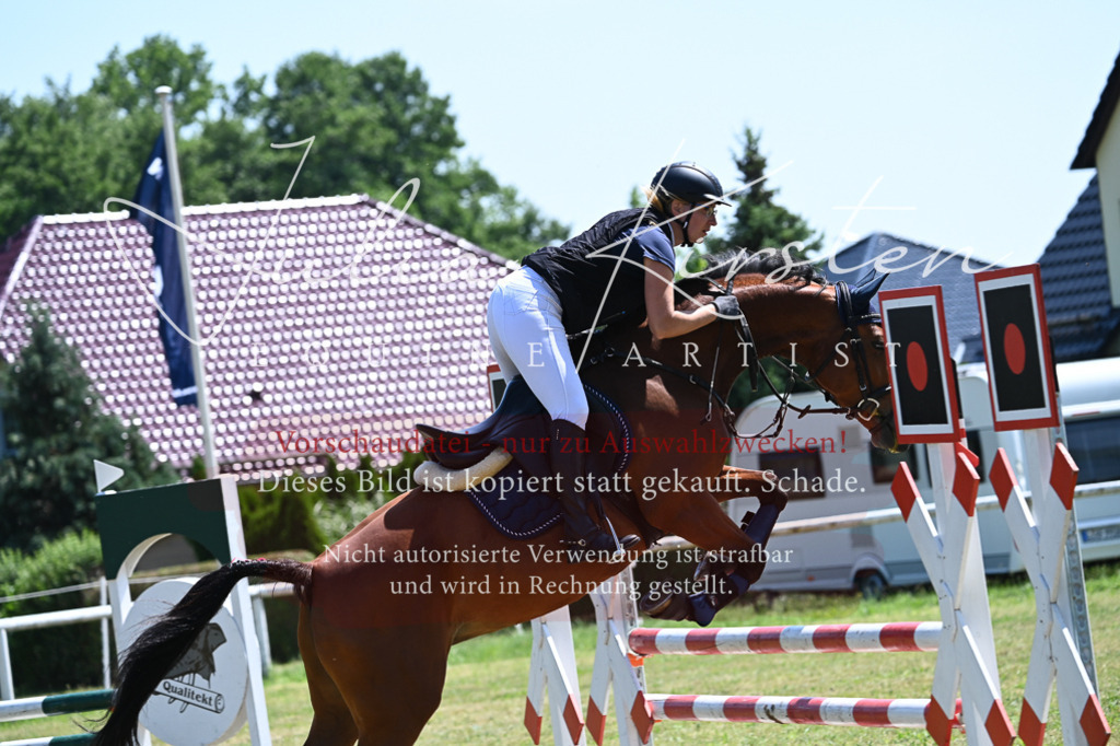 DSC_0629 | Pferde- und Turnierfotografie in Westsachsen. Pferdeportraits, Auftragszeichnungen und intuitive Kunst.