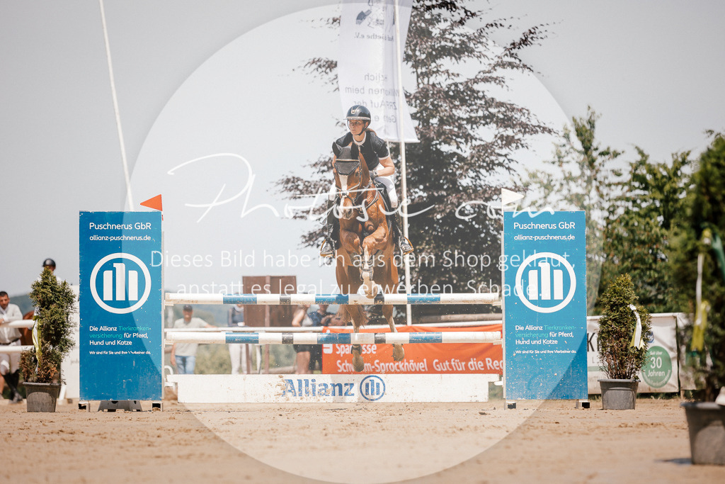 3I6A7942 | Stimmungsvolle Portraits und Reitsportfotografie im Ruhrgebiet und im Münsterland.

Pferdefotografie, Hundefotografie, Tierfotografie, Reportagen, Portraits von Tier und Mensch, Turnierfotografie in Bochum, Recklinghausen, Marl, Haltern am See, Dülmen.. - Realisiert mit Pictrs.com