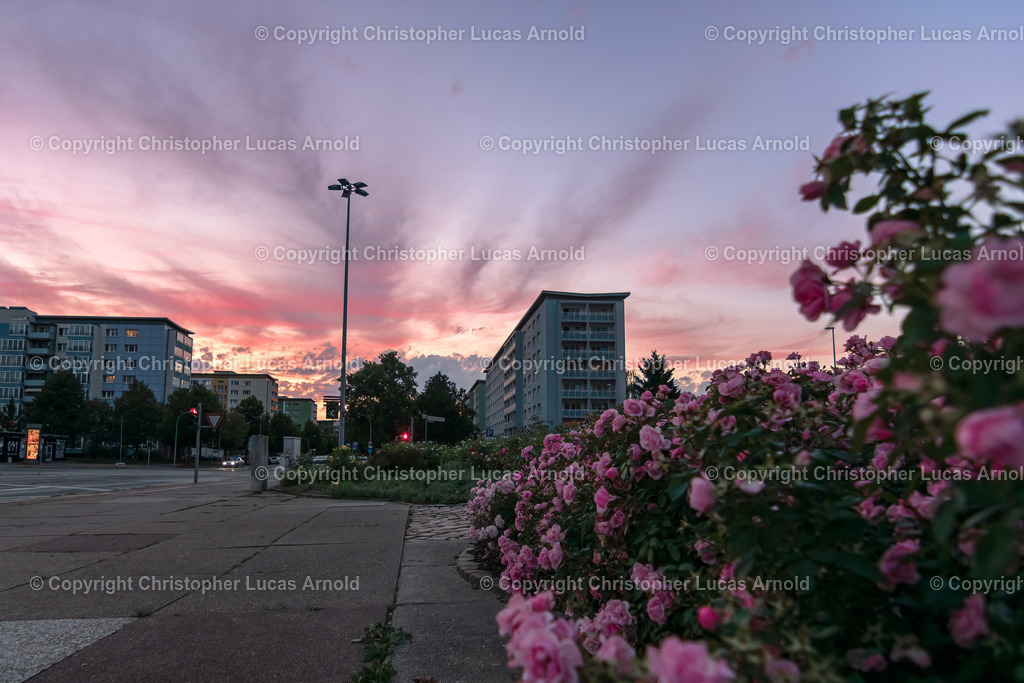 _DSC0497-Bearbeitet | bildkomponist - Realisiert mit Pictrs.com