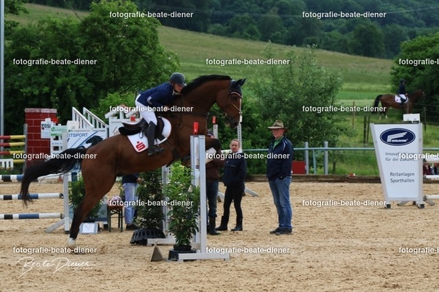 OHT1791 | Fotografie, Tiere, Hunde, Katzen, Pferde, Sportfotografie, Fotosession, Tierfotografie, Turnierfotografie, Fotografin, Fotograf - Realisiert mit Pictrs.com