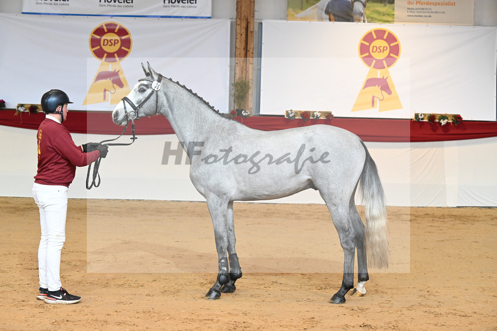Kat-Nr. 36 Vingino_Stahl_1231255 | hf-fotografie - Realisiert mit Pictrs.com