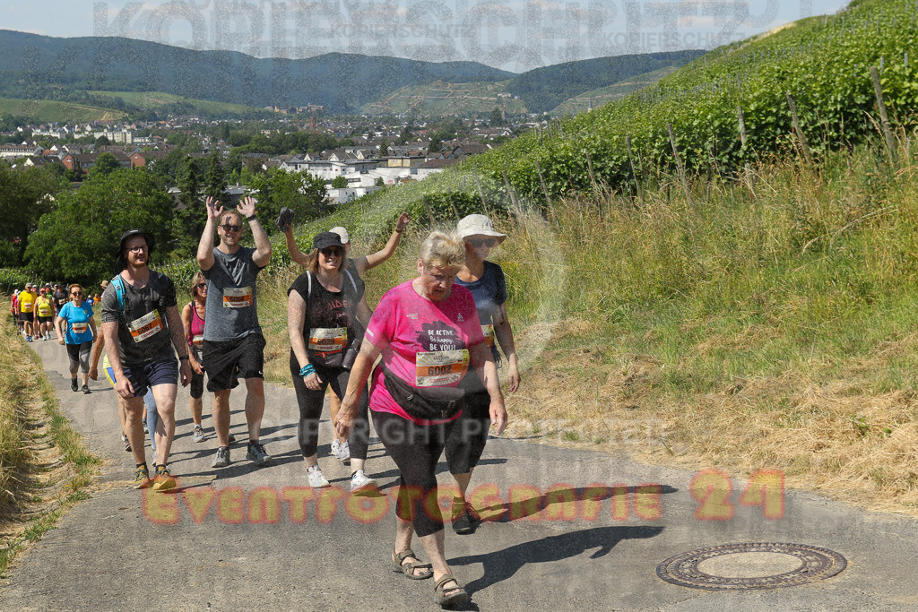 230617_1109_EV9_7721 | Sportfotografie im Rhein-Sieg Kreis, Köln, Bonn, NRW, Rheinland Pfalz, Hessen, etc. Unser Tätigkeitsfeld umfasst den Laufsport vom Volkslauf über den Marathon, Duathlon, Triathon bis zum Ultralauf wie Kölnpfad Ultra oder Schindertrail.