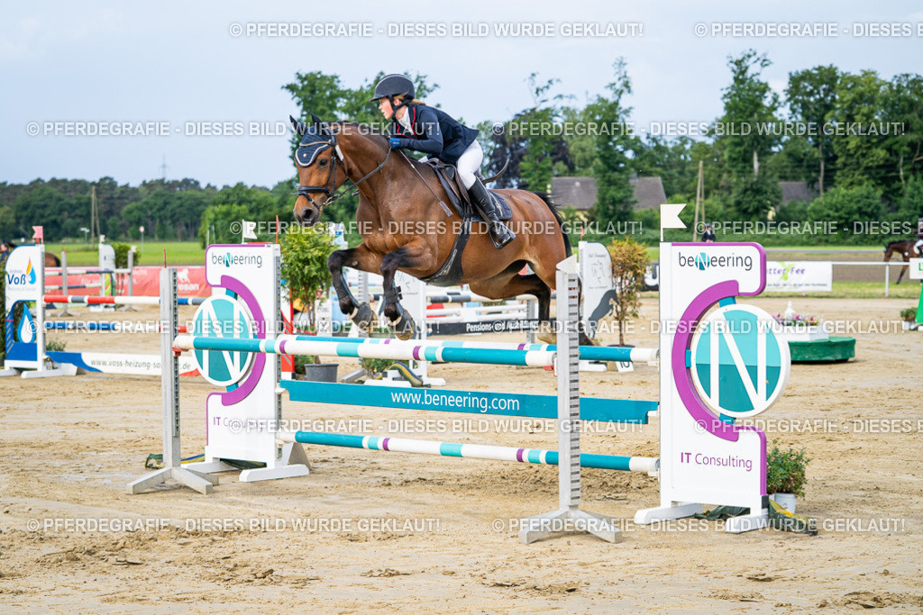 DSC03533 | Pferdegrafie