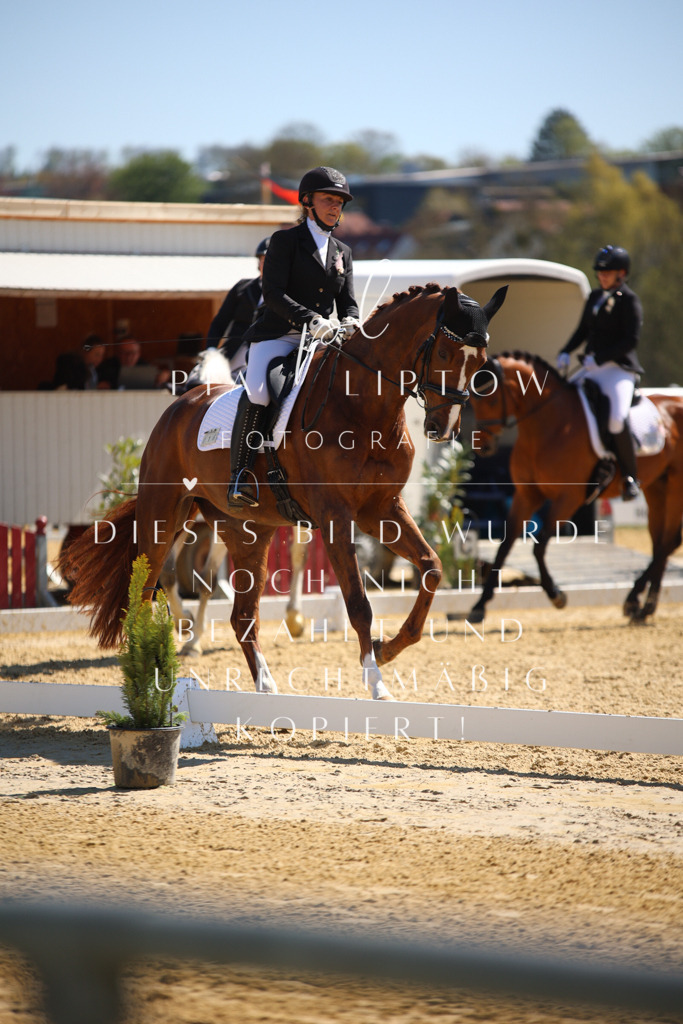 IMGT1070 | pl-fotografie