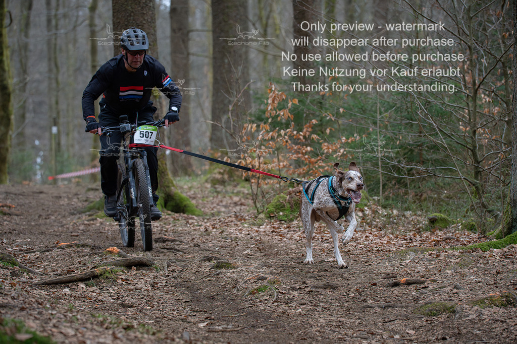 Bike_So-90 | stephaniefillaphotographie - Realisiert mit Pictrs.com