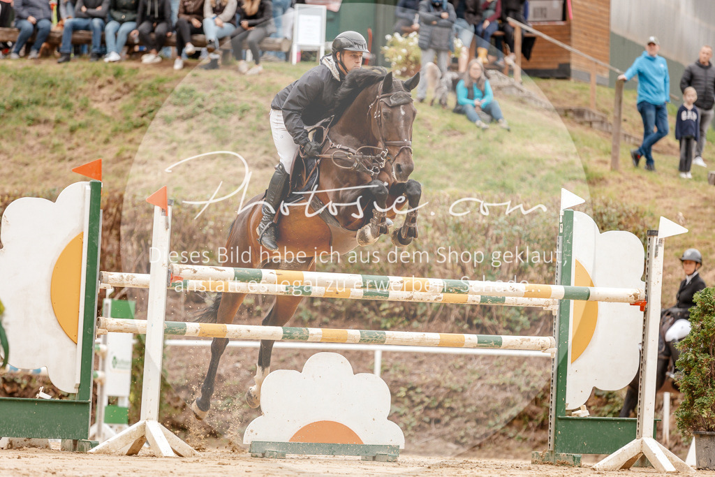 3I6A8458 | Stimmungsvolle Portraits und Reitsportfotografie im Ruhrgebiet und im Münsterland.

Pferdefotografie, Hundefotografie, Tierfotografie, Reportagen, Portraits von Tier und Mensch, Turnierfotografie in Bochum, Recklinghausen, Marl, Haltern am See, Dülmen.. - Realisiert mit Pictrs.com